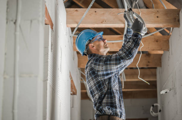 Best Electrical Repair Services  in Leland Grove, IL