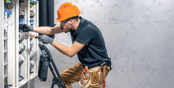 Best Electric Panel Repair  in Leland Grove, IL